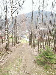 Nieruchomoci Bielsko-Biaa Do sprzedania dziaka rolna, w terenie lenym, niedaleko centrum