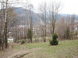 Nieruchomoci Bielsko-Biaa Do sprzedania dziaka rolna, w terenie lenym, niedaleko centrum