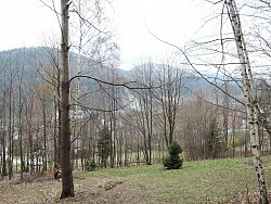 Nieruchomoci Bielsko-Biaa Do sprzedania dziaka rolna, w terenie lenym, niedaleko centrum