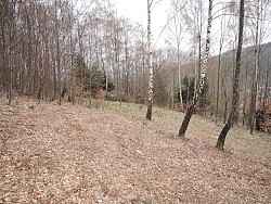 Nieruchomoci Bielsko-Biaa Do sprzedania dziaka rolna, w terenie lenym, niedaleko centrum