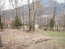 Nieruchomoci Bielsko-Biaa Do sprzedania dziaka rolna, w terenie lenym, niedaleko centrum