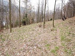 Nieruchomoci Bielsko-Biaa Do sprzedania dziaka rolna, w terenie lenym, niedaleko centrum