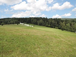 Nieruchomoci Bielsko-Biaa Do sprzedania 4 dziaki rolne, z adnymi widokami 