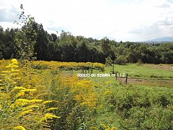 Nieruchomoci Bielsko-Biaa Do sprzedania 4 dziaki rolne, z adnymi widokami 