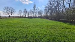 Nieruchomo�ci Bielsko-Bia�a �adna dzia�ka w cichej okolicy 