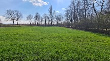 Nieruchomości Bielsko-Biała Ładna działka w cichej okolicy