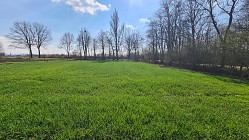 Nieruchomości Bielsko-Biała Ładna działka w cichej okolicy